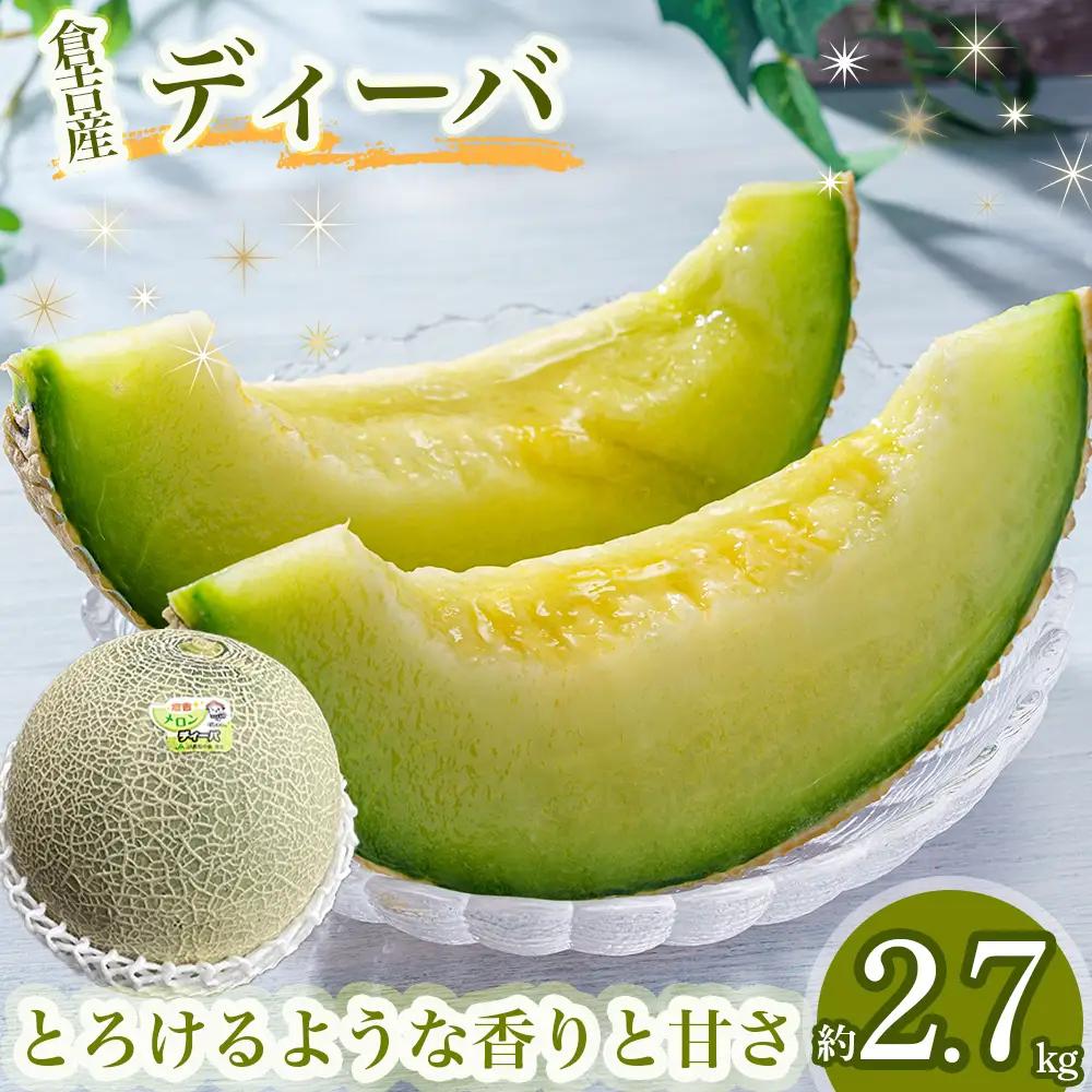 【倉吉産】ディーバメロン 約2.7kg（10月発送） ディーバメロン