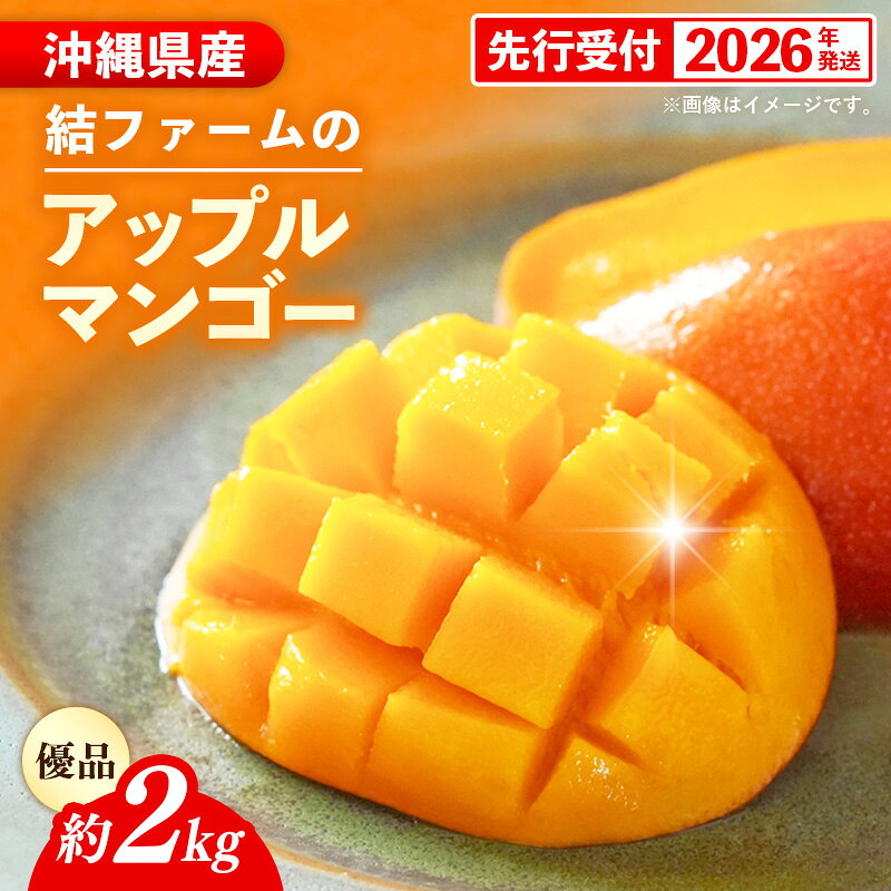 【ふるさと納税】【化粧箱入り】【先行受付・2026年発送】結ファーム 優品 アップルマンゴー 約2kg （4～8玉）- 産地直送 先行予約 沖縄県産 贈り物 ギフト 南国フルーツ 旬の味覚 オススメ 沖縄県 八重瀬町
