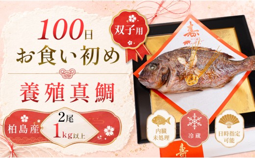 お食い初め 真鯛 2尾 双子 1kg以上 尾頭付き 鯛 のみ 2匹 真空パック 祝い鯛 百日祝い 100日祝い 鯛の塩焼き お食初め 自宅 お食い初め料理 初節句 100日お祝い膳 祝い善 節句 記念撮影 赤ちゃん ベビー  魚 高知県 柏島産 大月町