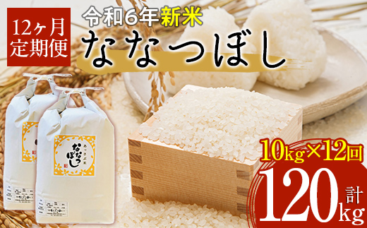 【令和6年産 新米】北海道厚沢部産ななつぼし120kg（10kg×12ヶ月連続お届け） ASG025