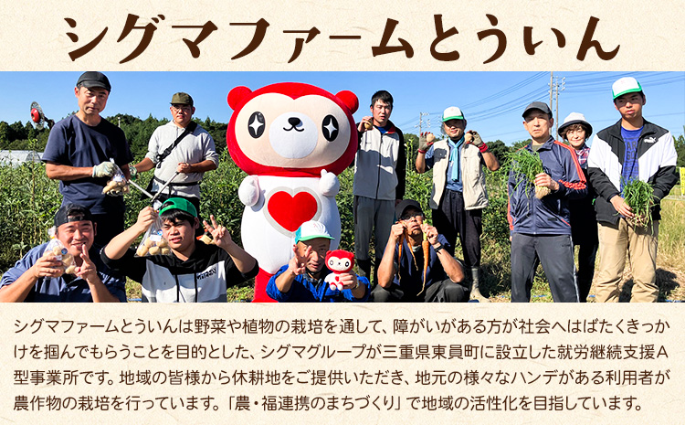さつまいも 紅はるか 約5kg 株式会社シグマサポート《2026年10月中旬-12月中旬頃出荷予定(土日祝除く)》送料無料 サツマイモ 三重県 東員町 お菓子 おやつ 紅はるか やきいも さつまいも 
