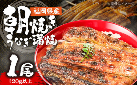 日本料理店「麻以虎」特製　朝焼きうなぎ　カット蒲焼 1尾 《豊前市》【四季の味　麻以虎】[VBX009]