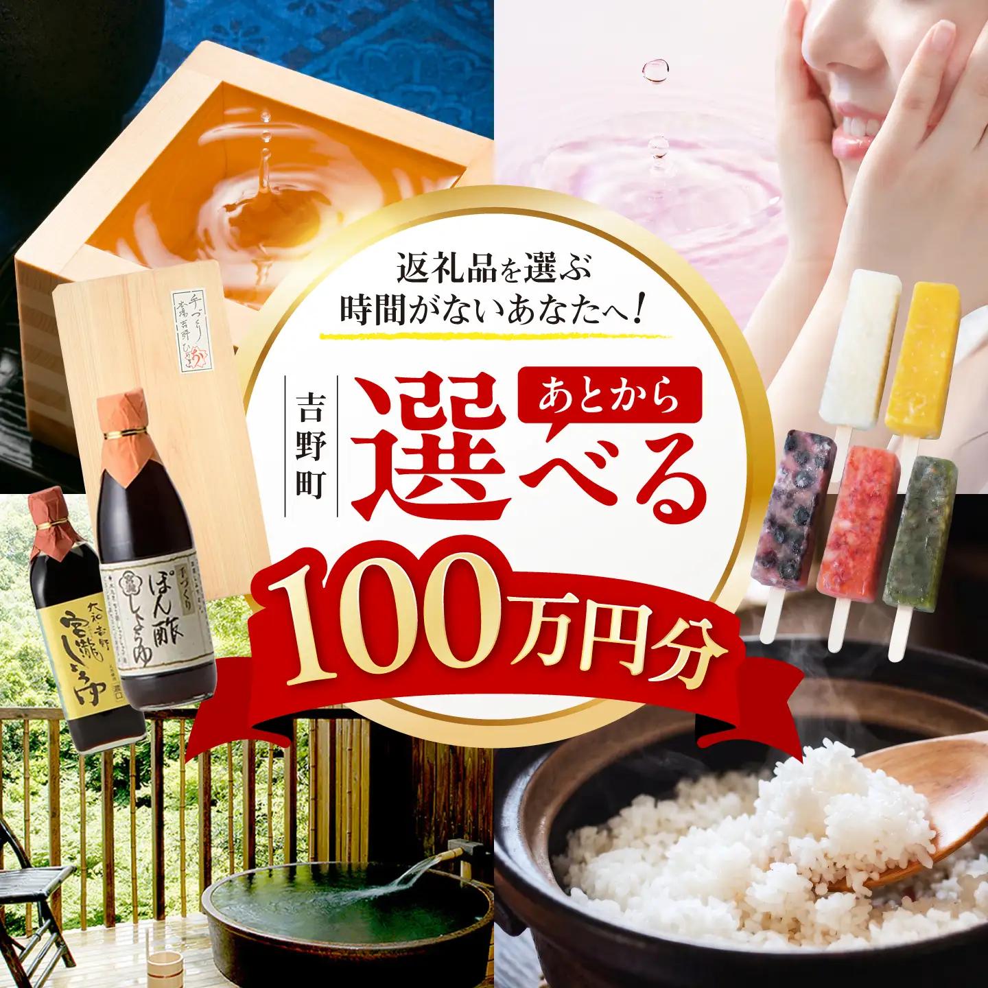 【あとから選べる】吉野町ふるさとギフト 100万円分[BRXX016]