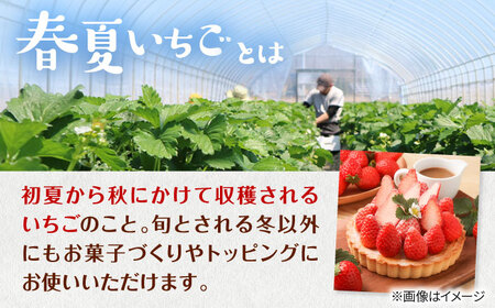 【5月以降順次発送】春夏イチゴ「ゆきララ」計600g《厚真町》【こばやしいちご農園】 [AXBT002]