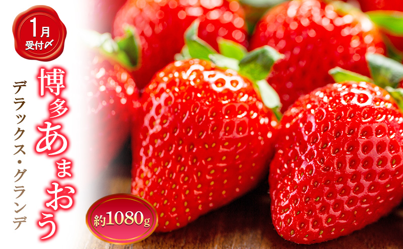 いちご 4パック 計約1080g 博多あまおう デラックス グランデ セット 詰め合わせ おまおう 苺 イチゴ 果物 くだもの フルーツ 旬のフルーツ 季節の果物 福岡 福岡県 大刀洗町 お申込：2026年1月25日迄