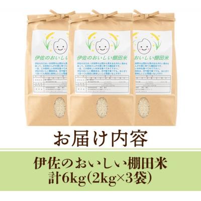 ふるさと納税 伊佐市 令和7年産 伊佐のおいしい棚田米 ヒノヒカリ(計6kg・2kg×3袋) |  | 03