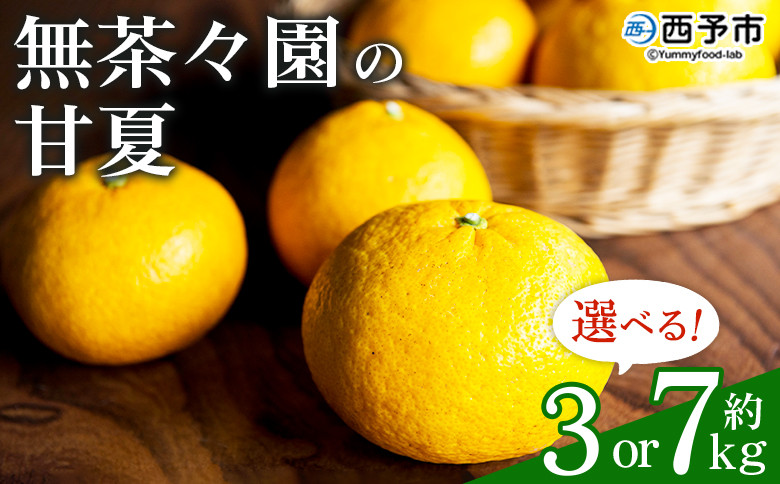 
                  無茶々園の甘夏 約3kg／7kg　果物 くだもの あまなつ みかん ミカン 蜜柑 柑橘 フルーツ 選べる内容量 期間限定 季節限定 食べて応援 特産品 愛媛県 西予市 【常温】
                