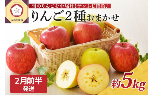 【2025年2月前半発送】 りんご 青森産 約5kg サンふじ 確約 品種おまかせ2種以上 贈答用 特選～特秀