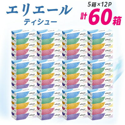 【ふるさと納税】エリエール ティシュー 180組5箱×12パック(60箱)【配送不可地域：離島・北海道・沖縄県】【1352850】