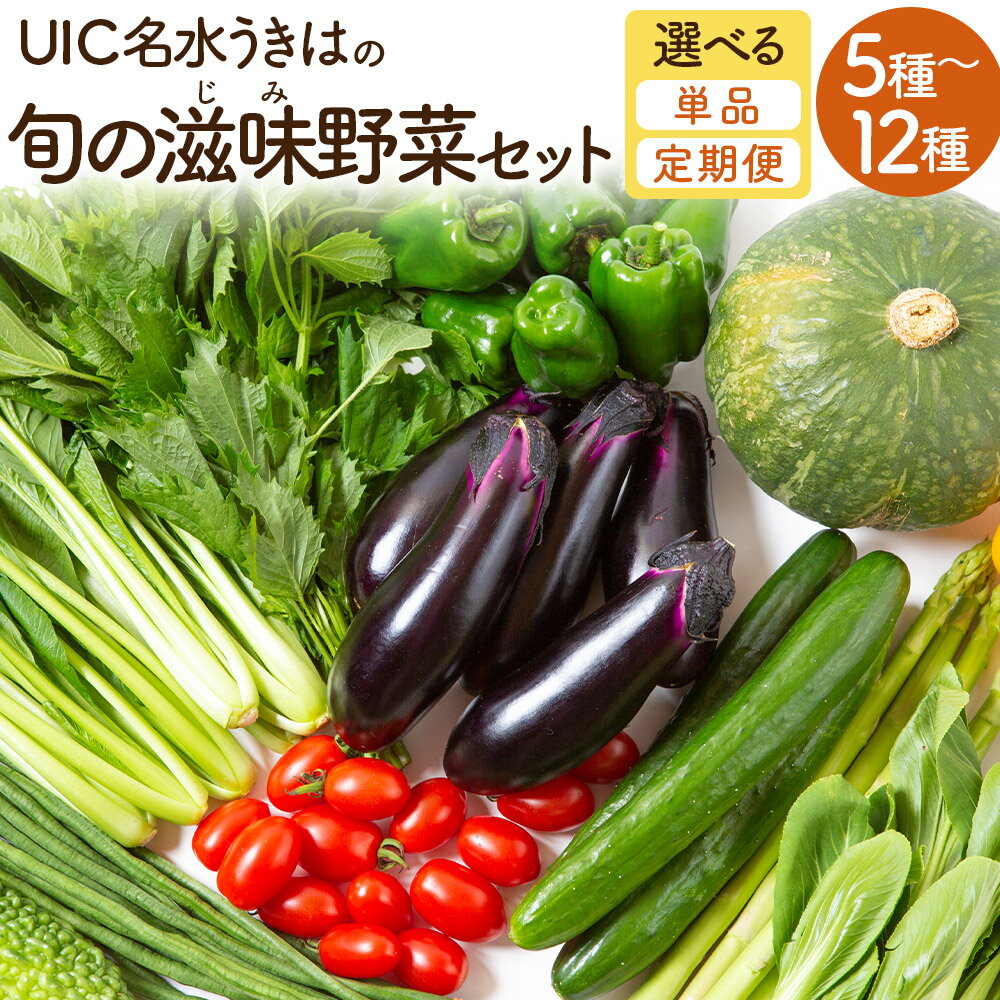 【ふるさと納税】【選べる種類】UIC 名水うきは 旬の滋味（じみ）野菜セット 野菜 定期便 詰め合わせ 野菜詰め合わせ 冷蔵 送料無料 福岡県 うきは市