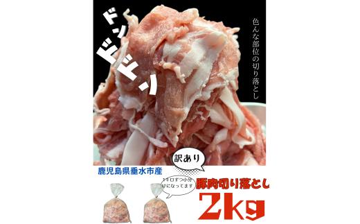 A1-0423／【訳あり】鹿児島県垂水市産 豚肉 切り落とし 2kg（1kg×2P）