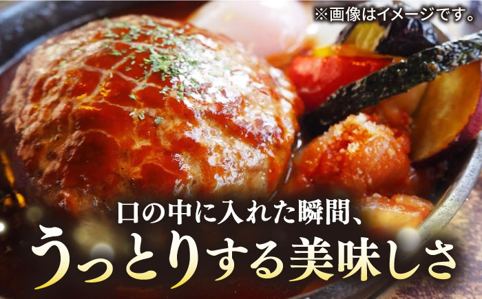 【全2回定期便】壱岐牛 A5ランク 牛ミンチ 約500g×6《壱岐市》【KRAZY MEAT】 小分け ミンチ 挽き肉 ひき肉 牛肉 赤身 ハンバーグ 肉 個包装 [JER090]