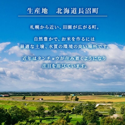 【先行予約】令和8年産新米 特別栽培米 北海道産 ゆめぴりか 10kg 精米 美味しいお米