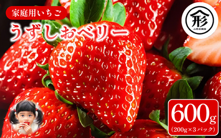 いちご うずしおベリー 3パック 600g いちご