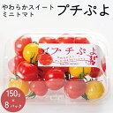 【ふるさと納税】 トマト ミニトマト 1.2kg (150g×8) プチぷよ 2024年 11月～ 発送予定 スイートミニトマト 野菜 やさい 果物 スイーツ ジュース トマトジュース ソース サラダ ドレッシング サンドイッチ ハンバーガー カレー プチトマト 送料無料 四電工 徳島県 吉野川市