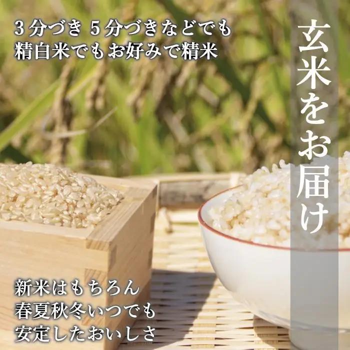 【令和8年度新米】先行予約受付 数量限定 玄米(特別栽培農産物)元気つくし 2kg×5袋 (計10kg)