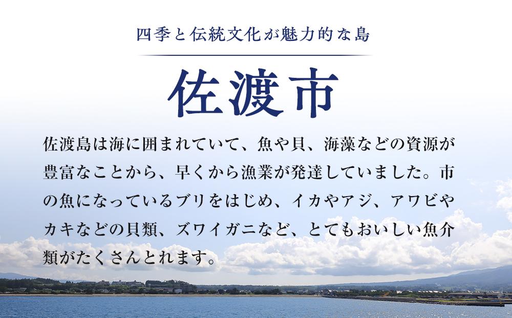 干物 イカ 佐渡産 4枚 ( 1袋2枚 × 2 ) 一夜干しいか