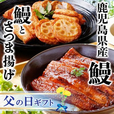 【父の日】うなぎとさつま揚げ詰め合わせセットA6-136F【配送不可地域：離島】