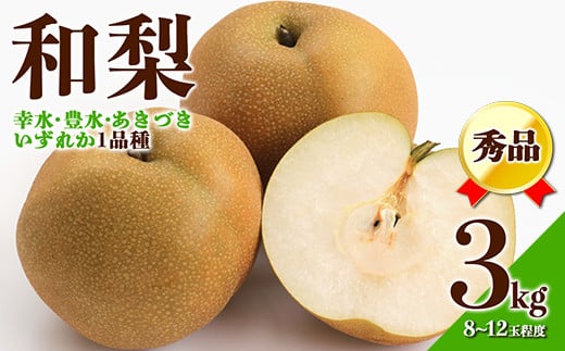 【先行予約 2026年度発送】☆フルーツ王国山形☆和梨3kg秀品  なし ナシ 梨 デザート フルーツ 果物 くだもの 果実 食品 山形県 FSY-2548