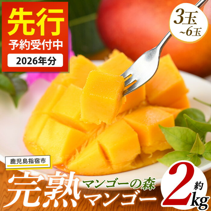 【ふるさと納税】＜先行予約受付中！2026年7月上旬以降順次発送＞指宿産しあわせ完熟マンゴー(約2kg・3玉〜6玉) 国産 南国 指宿産 鹿児島 アップルマンゴー マンゴー 果物 くだもの フルーツ 完熟 産地直送 お取り寄せ 夏 ギフト 贈答用【マンゴーの森】