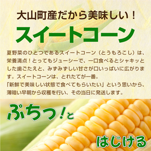 AS-26　大山スイートコーン　等級(秀)　5㎏　10～14本入