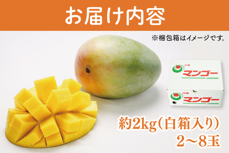 【2025年8月より順次発送】★訳あり★キーツマンゴー 2～8玉(約2kg)【白箱】ご家庭用｜訳あり わけあり 訳アリ キーツマンゴー マンゴー キーツ フルーツ 果物 くだもの おきなわマンゴー 家