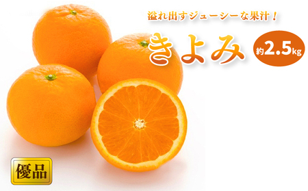【2026年3月中旬から発送予定】きよみ 家庭用(優品) 約2.5kg おすすめ人気 みかん 果物 フルーツ 愛媛県産 みかん 松山市 愛媛県 【KK0232】 ﾐｶﾝﾐｶﾝﾐｶﾝﾐｶﾝ