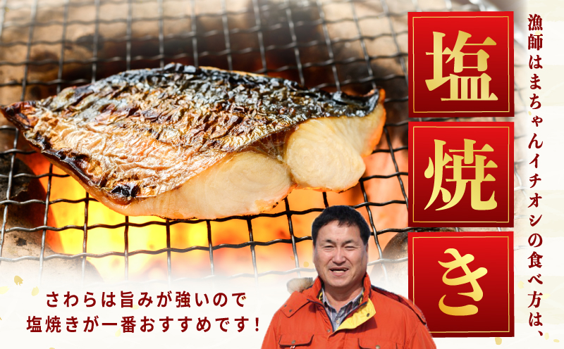 【スピード発送】泉州さわら 片身 約1kg【漁師 目利き 海鮮 鰆 泉州 新鮮 産地直送 急速冷凍 圧倒的企業努力】