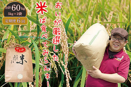 【定期便6回】三瀬村産「コシヒカリ」5kg×2袋 お米 精米：C195-007