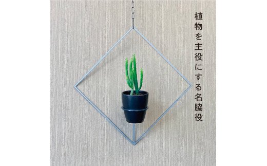 GRAVIRoN Hang Plants シリーズ Diamond 酸洗鉄（プランツハンガー） 観葉植物 プランター
