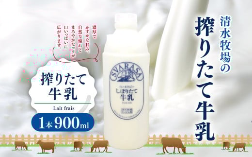 搾りたて牛乳 Lait frais 1本900ml | ふるさと納税 長野県 松本市 信州産 搾りたて 牛乳 生乳 クリーミー