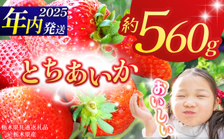 【栃木県共通返礼品】【2025年先行予約】とちあいか 280g×2P| 年内発送 果物 くだもの フルーツ 野菜 やさい ヤサイ 苺 イチゴ いちご とちあいか 新鮮 甘い 数量 限定 美味しい 果物 共通返礼品 フルーツ デザート 栃木県 那珂川町 送料無料