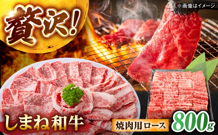 
                  しまね和牛ロース 800g (400g×2パック) 焼肉用 島根県松江市/株式会社さんれいフーズ [ALFR009]｜ロース 肉 和牛 牛肉 国産牛 しまね和牛 にく わぎゅう ブランド和牛 おすすめ 人気 焼肉 焼き肉 やきにく 霜降り ろーす
                