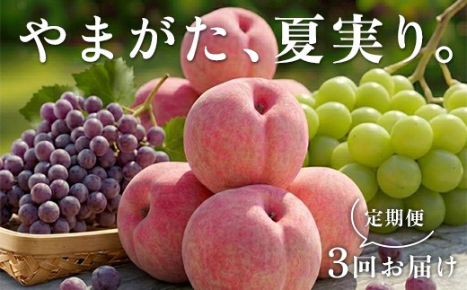 【2027年先行予約】 やまがた、夏実り。定期便 FSY-2928