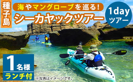 n117 シーカヤック1dayツアー(1名様分、7時間、ランチ付き)種子島 島 カヤック ツアー 観光 海 レジャー【Lulusun】