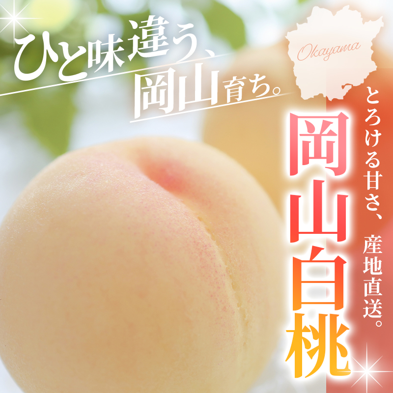【2027年出荷分先行予約】岡山県産 白桃 約2kg 訳あり 花田青果 フルーツ王国の桃 品種お任せの桃 桃 フルーツ 果物 もも モモ momo【hnds003-01】