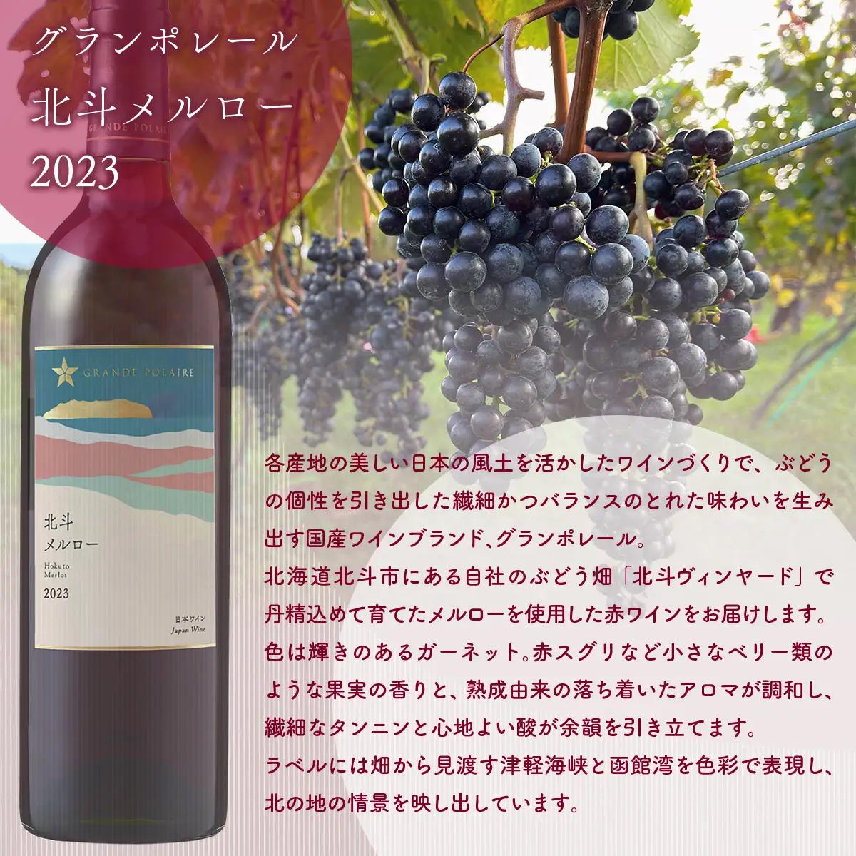 【数量限定】グランポレール  北斗メルロー2023 ワイン 750ml 1本 HOKJ010 | ワイン