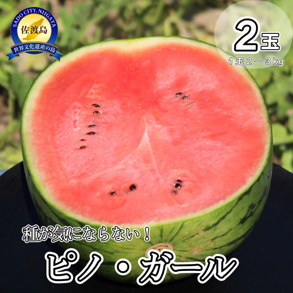 【先行予約】佐渡西三川・松丘農園の名産品小玉スイカ「ピノ・ガール」２個（1玉2～3kg）