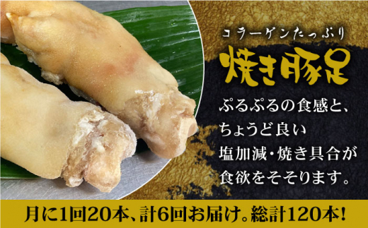 【6回定期便】≪人気焼き鳥店の味≫国産焼き豚足たっぷり20本セット×6回【やきとり紋次郎】 [FCJ026]