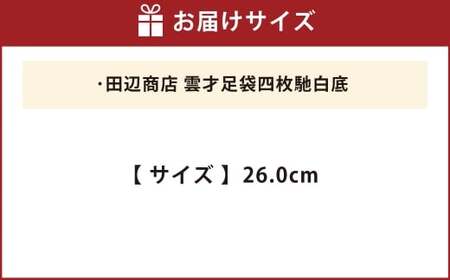 雲才足袋四枚馳白底【26.0cm】