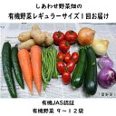 【ふるさと納税】オーガニック 野菜 「 レギュラーサイズ 野菜セット」（9～12種類） 1回便 （ やさい 野菜 有機JAS認証取得 有機野菜 SDGs 有機JAS認証 JGAP認証 取得 野菜セット 有機野菜セット しあわせ野菜畑 ）