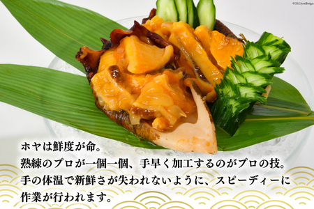 黄金のさしみ ほや 300g×3 [村田水産 宮城県 気仙沼市 20562617] ホヤ 冷凍 魚介類 魚介 刺身