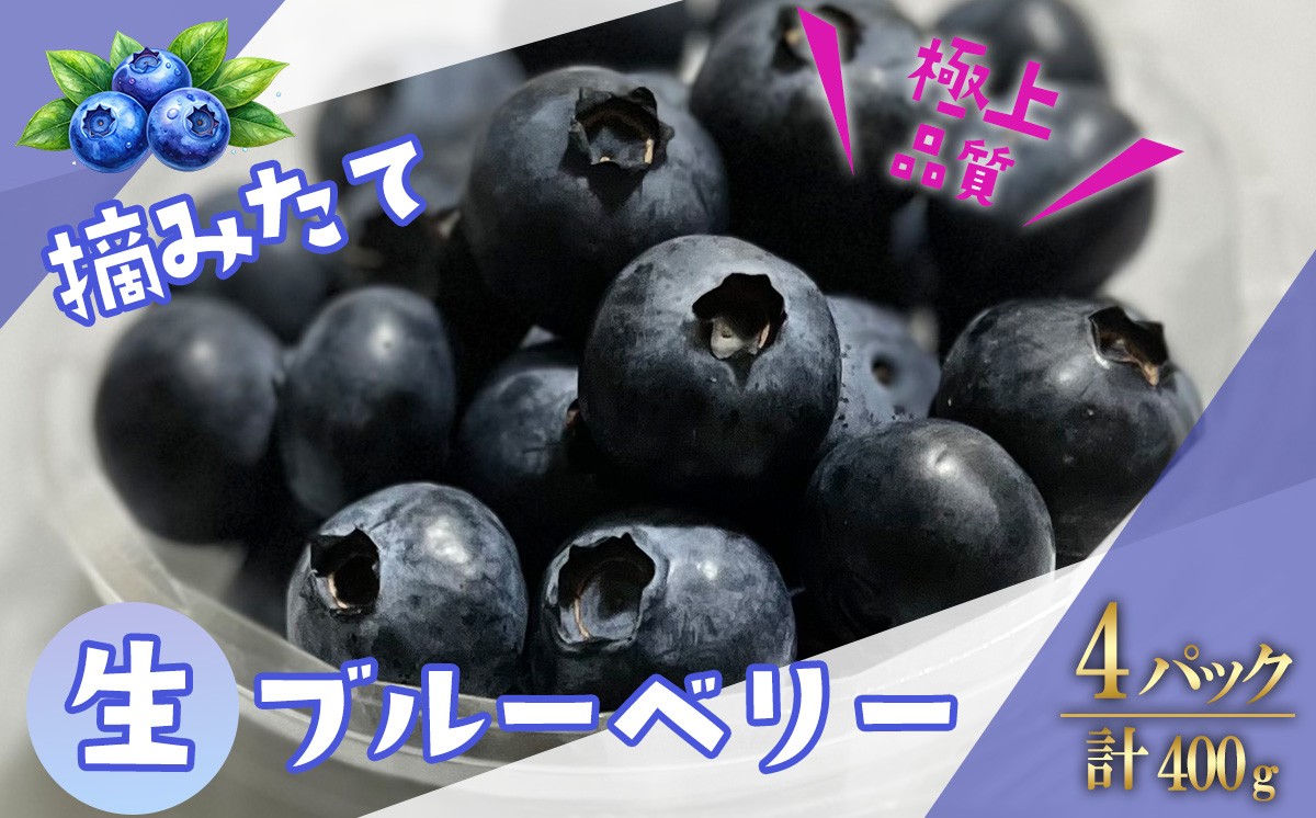 【先行予約】極上摘みたてブルーベリー　100g×4パック【期間限定】