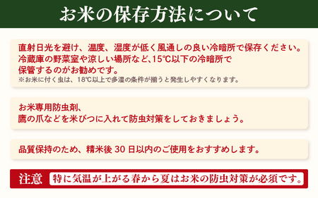 【先行予約】【令和7年産・新米】定期便 ≪6ヶ月連続お届け≫ ハナエチゼン 5kg × 6回（合計30kg）【白米】【10月中旬前後より順次発送予定】【お米 こめ はなえちぜん 華越前 人気品種 ブラ
