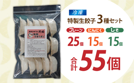 餃子 生餃子 ファミリーセット(55個入り) [ANHL004] 餃子