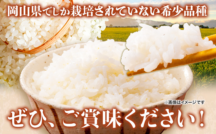 岡山県産 あさひ 10kg (5kg×2袋)  全農パールライス株式会社 《90日以内に出荷予定(土日祝除く)》精米 米 送料無料---124_1354_90d_24_22000_10---