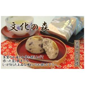 徳島銘菓 文化の森（ぶんかのもり）12個入