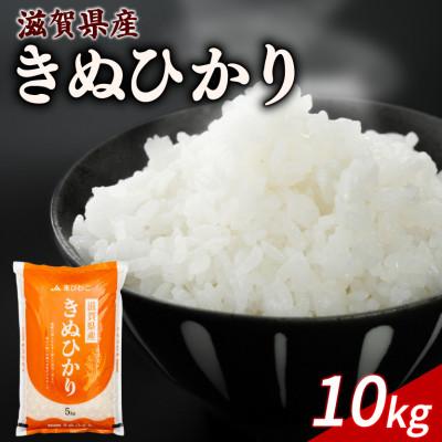 ふるさと納税 彦根市 令和8年産 新米 きぬひかり 10kg 【滋賀でとれたお米、近江米!】