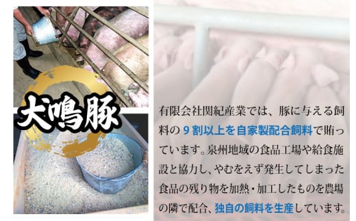 【ANA限定】犬鳴豚の手作りプレミアムハンバーグ（10個入り）犬鳴豚餃子6個 セット【国産 豚肉 泉佐野ブランド豚 犬鳴ポーク 普段使い】 G5376