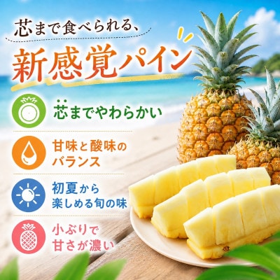 【2026年5月中旬から順次発送】今帰仁村パイン産地協議会 ポコットパイン2.4kg(3～5玉)【配送不可地域：離島】